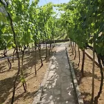 Arapovic, Malosevici 56 *