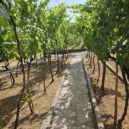 Arapovic, Malosevici 56 *