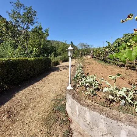 Arapovic, Malosevici 56 Appartamento Buna