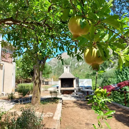 Arapovic, Malosevici 56 Lejlighed