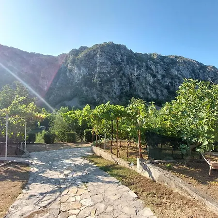 Apartman Arapovic, Malosevici 56 *