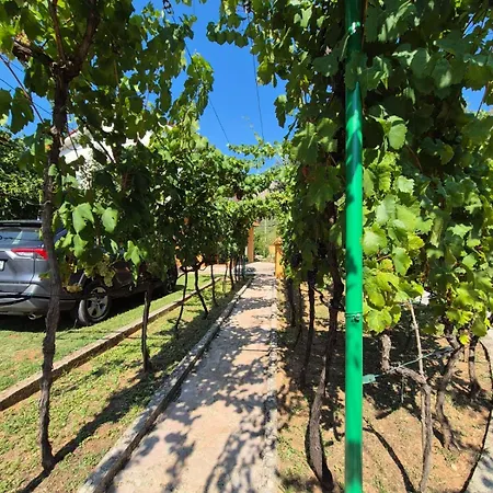 Arapovic, Malosevici 56 * Buna