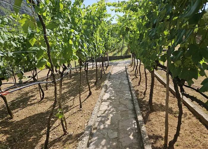 Arapovic, Malosevici 56 *