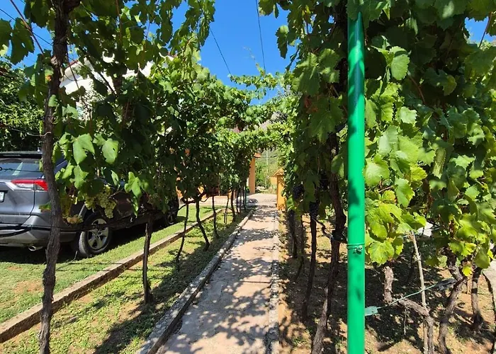 Arapovic, Malosevici 56 * Buna